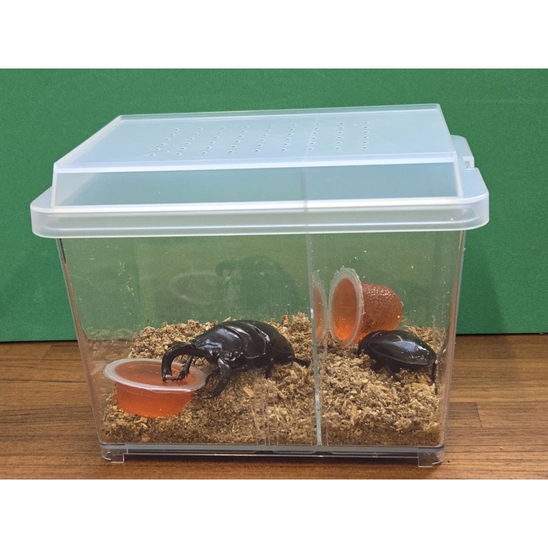 飼育ケース HR-1　30個セット